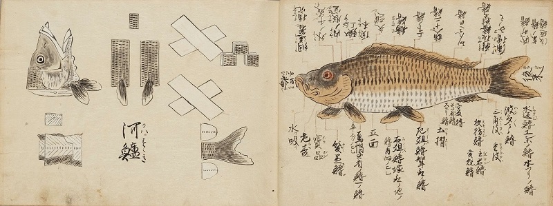魚鳥式法 画像 1