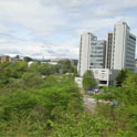 View from the Library